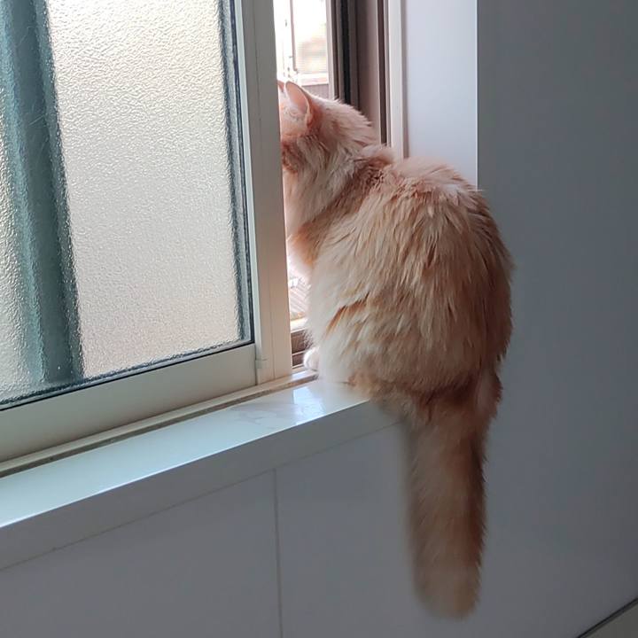 E6914a8c a456 4c82 9f32 305c5dd58a18 1657490549820