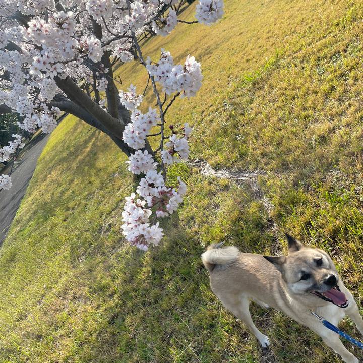 E6917997 a061 4fef 8195 142a953eb94c 1648895778386