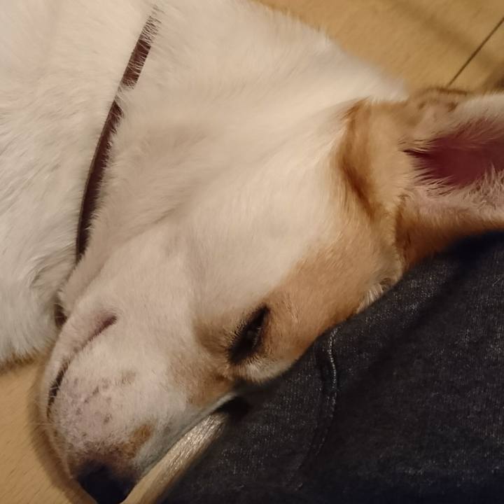 E6918f02 a493 4c82 99d7 8b37d20135e4 1516966986611