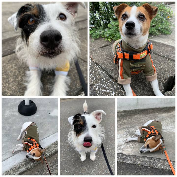 E6918ffb f97f 4d3a 8408 c526eee21016 1603069865965