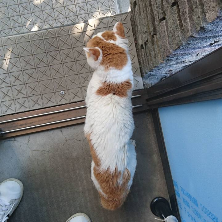 E691a4f4 3fdc 4fbc b4c5 e05a3c65e653 1566113823063