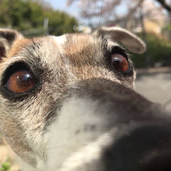 E691a63f 311f 4827 aee2 b886142a65d0 1522498408622