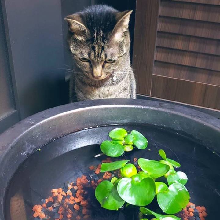 E691bf5c bcaa 4b3b bdb5 2f7caee6c128 1572871038656