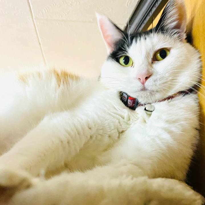 E691c8c0 f72c 421e bff1 c25f125af539 1680007367765