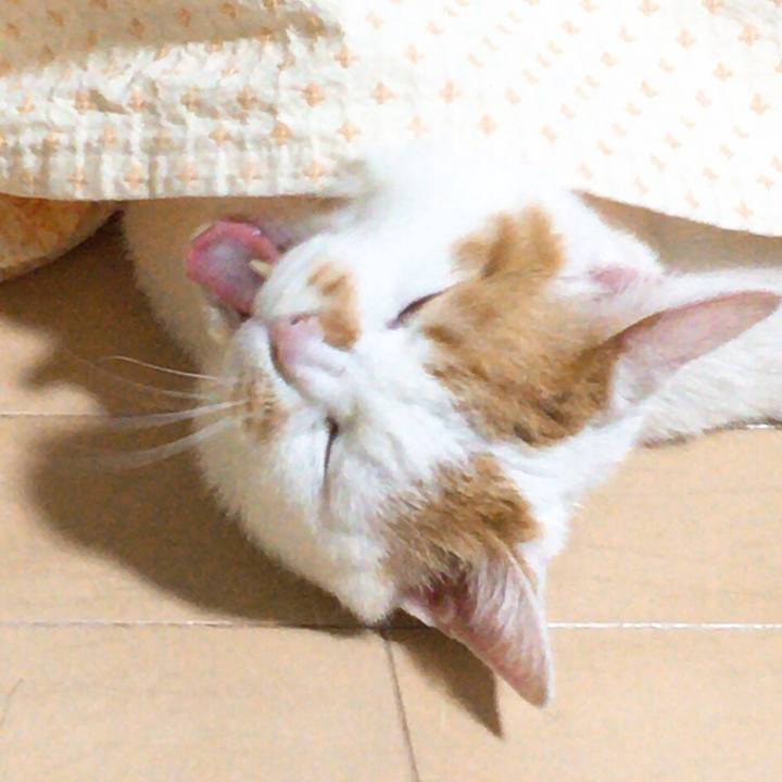 E691ccb1 85b3 4072 bd50 20997d55a257 1516021771934