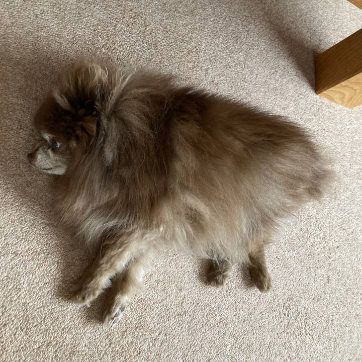 E691f271 52ed 4fad 9fc1 15f623d225ca 1713822582828