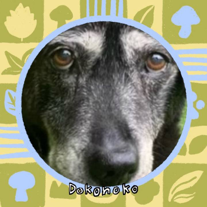 E6926b35 a2b4 4f91 8961 1efb034f155b 1761148361473