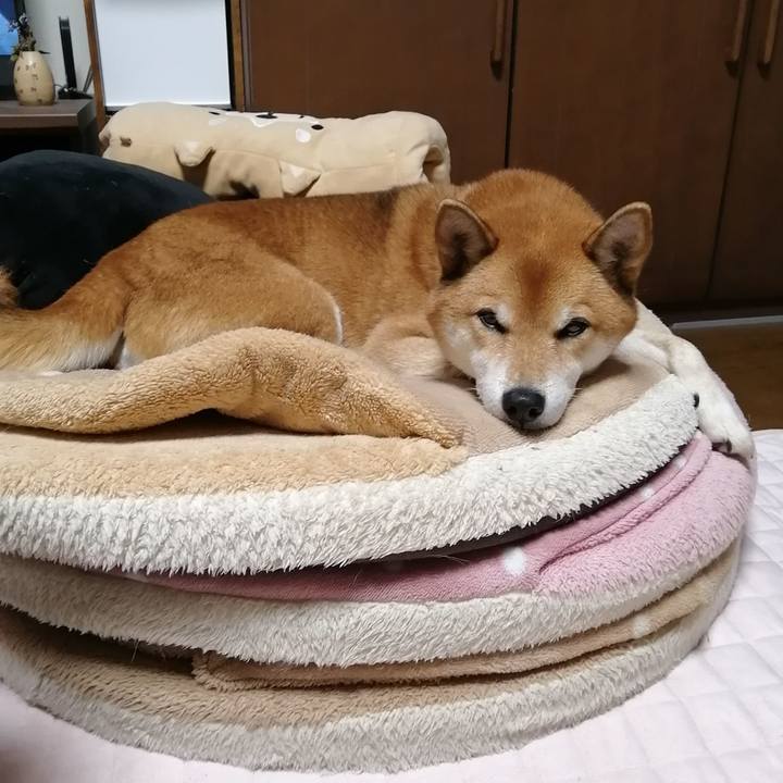 E69285be 87d2 45fd b461 53644d2bb57d 1604573602965