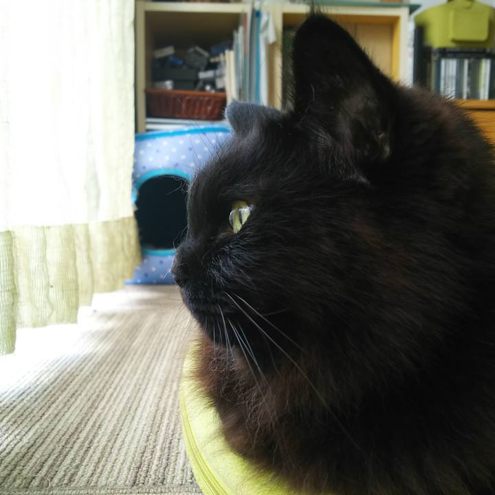 E6928a2f f6de 4973 ad89 38682f7b3fb5 1554767334084