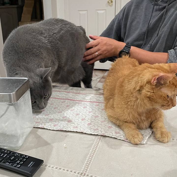 E692a0c6 7999 4d53 b611 dd38516248bc 1769477471902