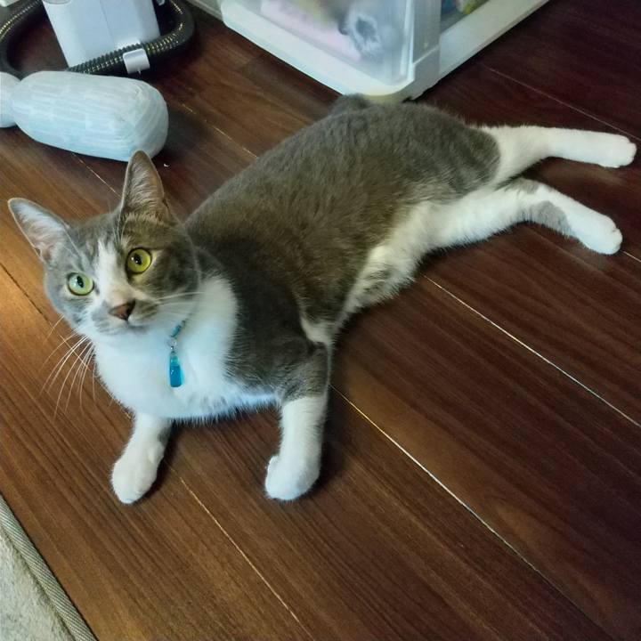 E692af4a 578a 4fc7 a5f0 5ebfa8a234f5 1621841090623