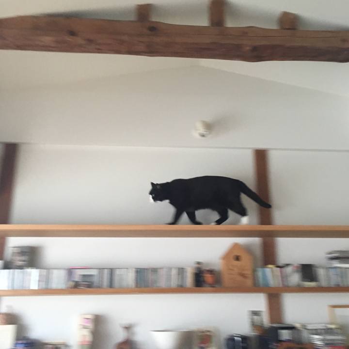 E692c180 95e3 4026 9653 e5ad8fdba6b5 1541339659659