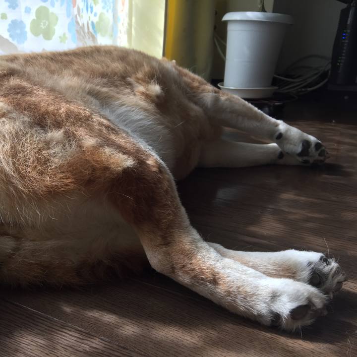 E692c6e9 8f6b 4610 9780 45633f7f5c30 1556863763643