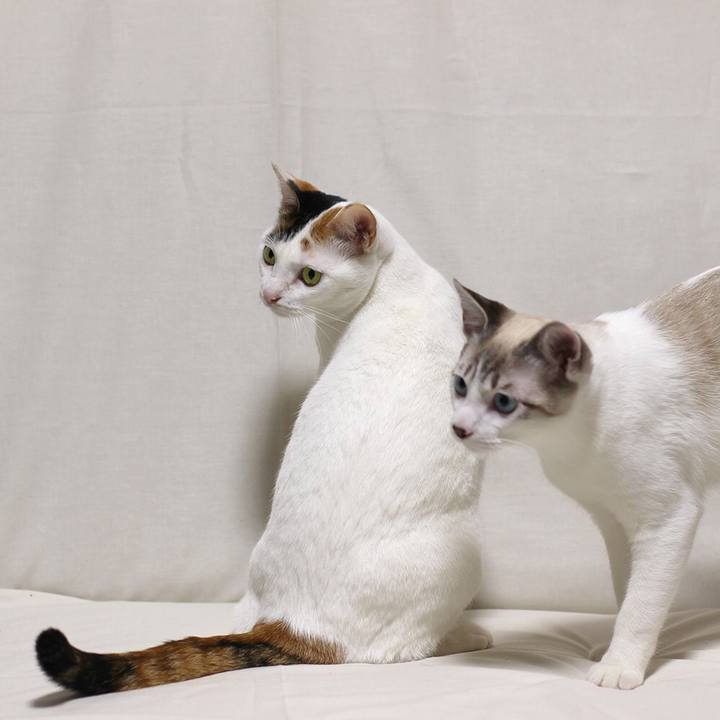 E692d2c9 0796 4f20 a5b2 3c4132a59839 1611889738464