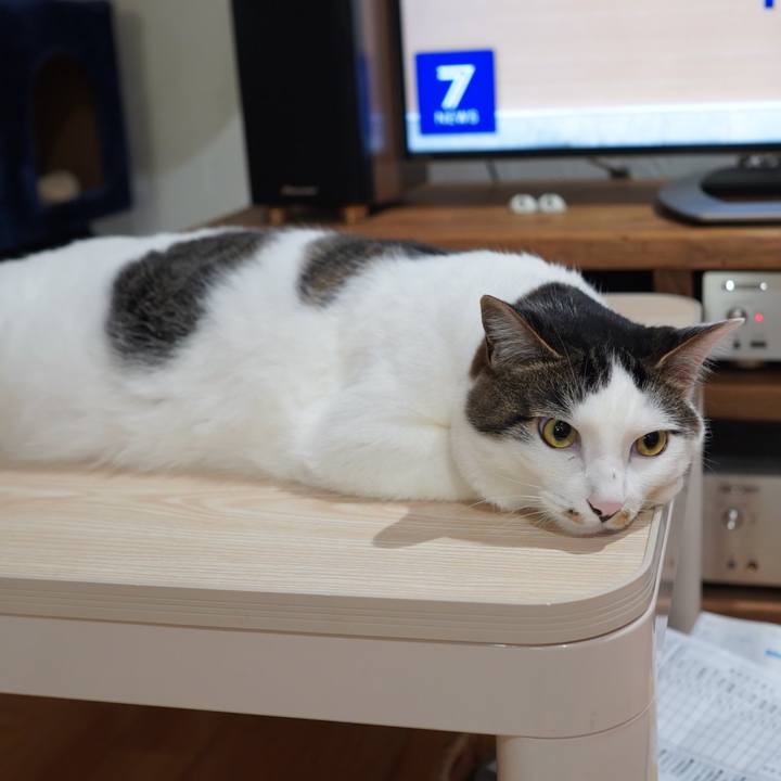 E692e2c4 9b07 4d1c 9397 cd0b27d3f944 1591677392607