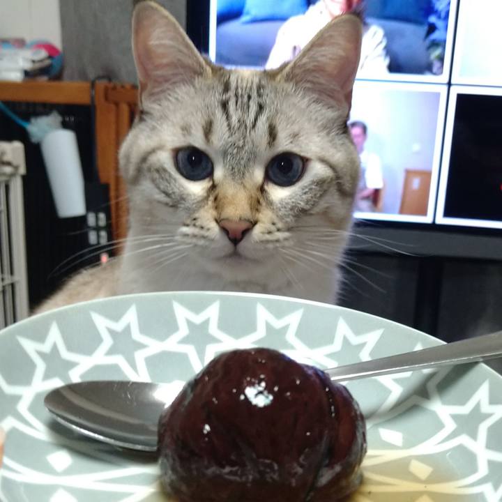 E6932760 62c4 43d1 a8ce 28fe3aa92a45 1664277417529