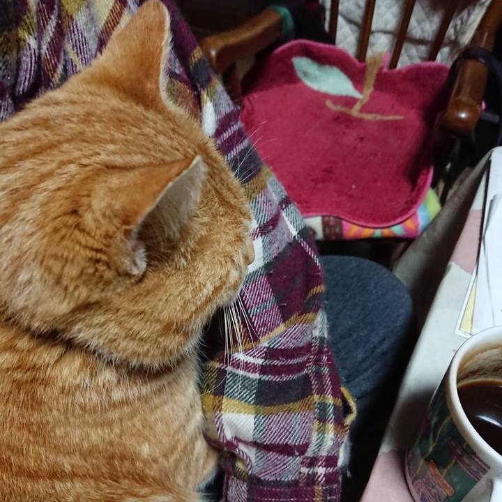 E6933e56 d6ad 4e8d bde2 a33f7df8e7e5 1581886173264