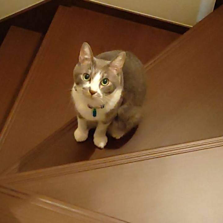 E6933f87 9c37 4e25 aa7a 0d04dbd0127b 1697809868885