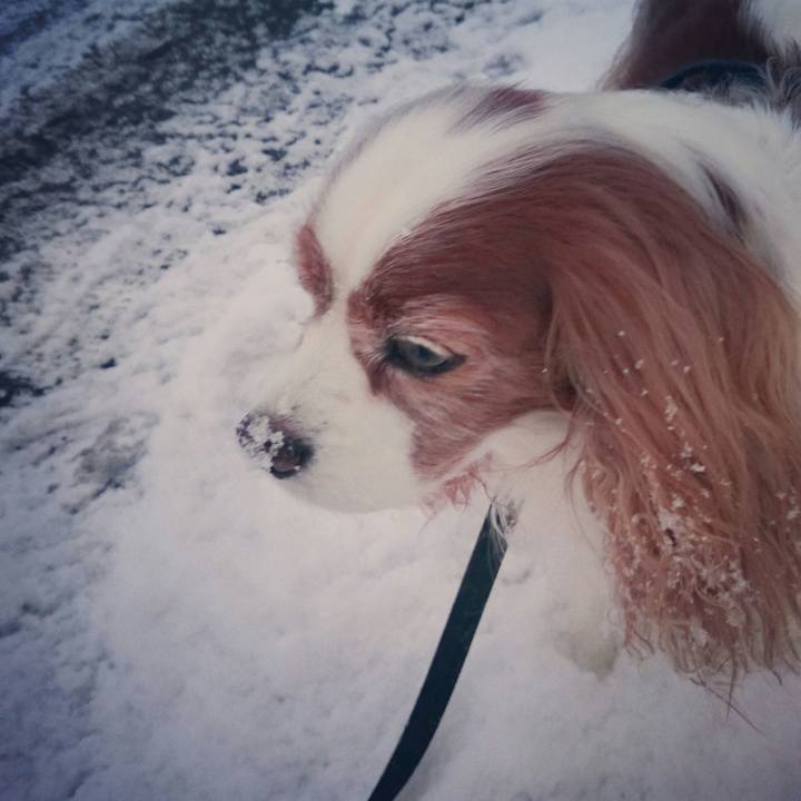 E69372f5 9ead 414d 9c21 b18ad152df2e 1547678195344