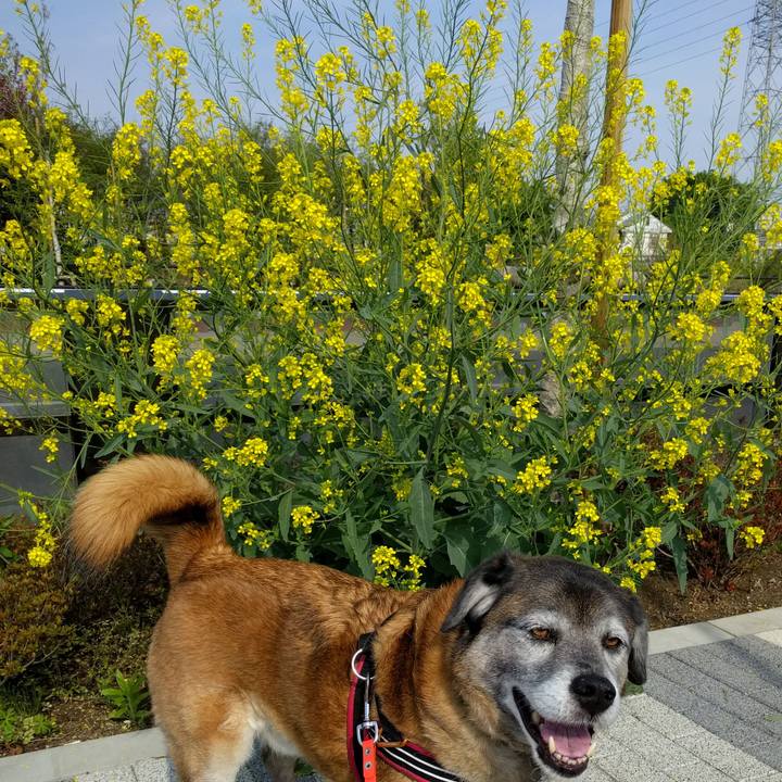 E6937fb3 82c0 4308 9033 d58cfeb79e7a 1555632817781