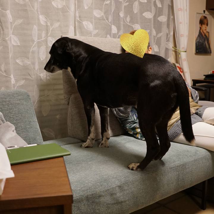 E693a016 cbe6 447c b956 10963868e4ff 1773400122102