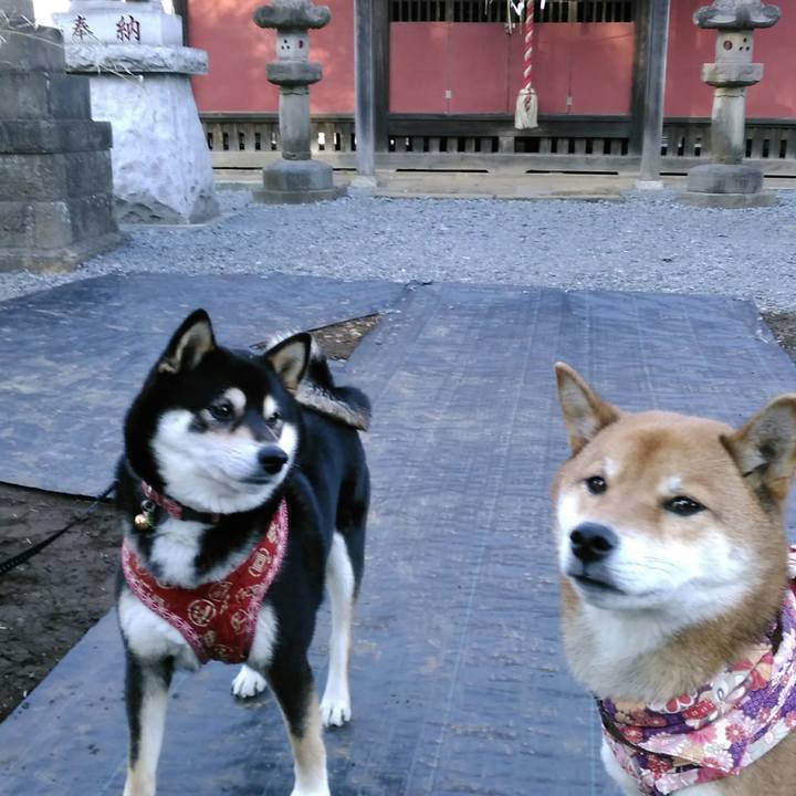 E693b935 289b 4441 bf64 eeda564c6eb8 1515569441744