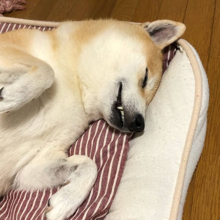 E693df7e 4737 4c90 955f 71ce05079aef 1571065222513