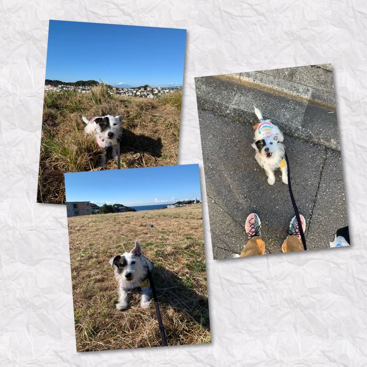 E693e261 e8a9 4f15 807d fb57b8d4c573 1668558648133