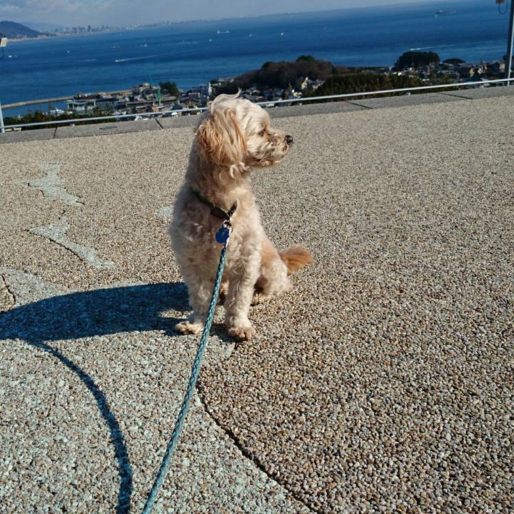 E6944651 f1f6 48af 889d ec3e6e0f4135 1577511208857