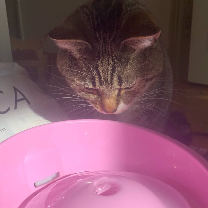 E69469b8 e322 4a26 8875 eb0175077d14 1582323621031