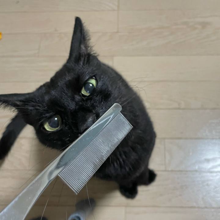 E6949f52 8933 44ae bf05 24f7593d51b9 1753273181055