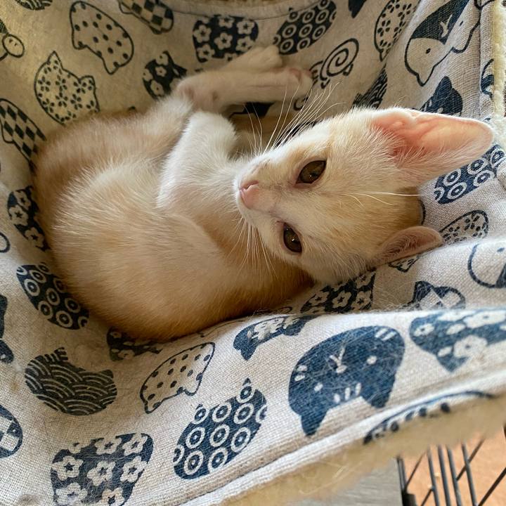 E694cffe 0540 4174 8962 5a08a4e63fca 1718769234041