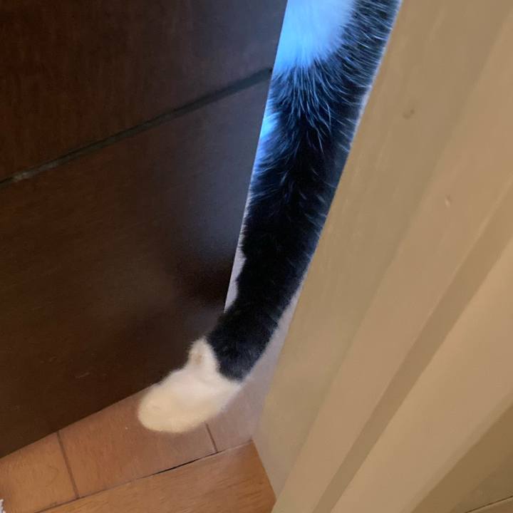 E694dfe1 a318 4069 8e5e 3d0fb638d30f 1623478752520