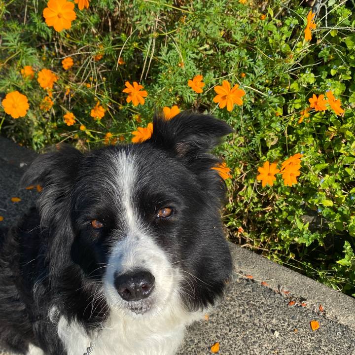 E694e2a0 3cad 4e15 beea a739779024a0 1633135650517