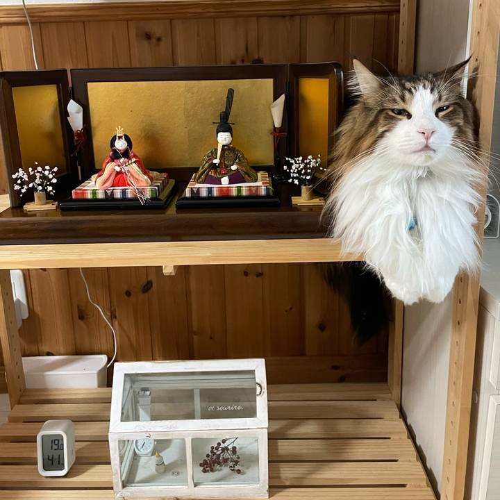 E694ebe1 cf3b 4bc4 8b08 22122aa16381 1709118669081