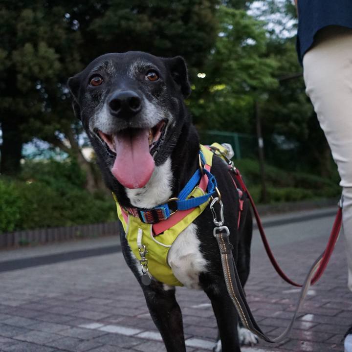 E694f413 a525 4686 a047 7b29d23bcdbe 1779966624272