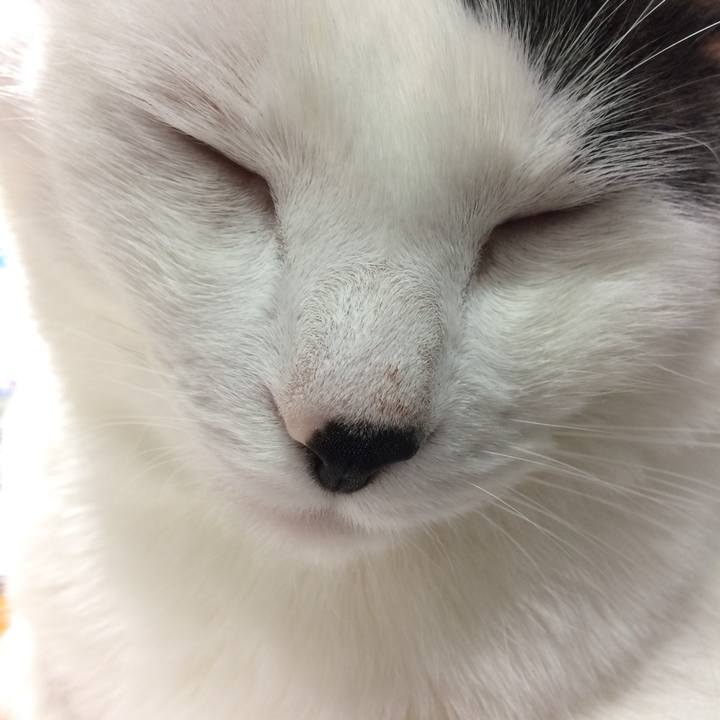 E6951073 3d46 4573 b295 e29340ec4989 1530473080310