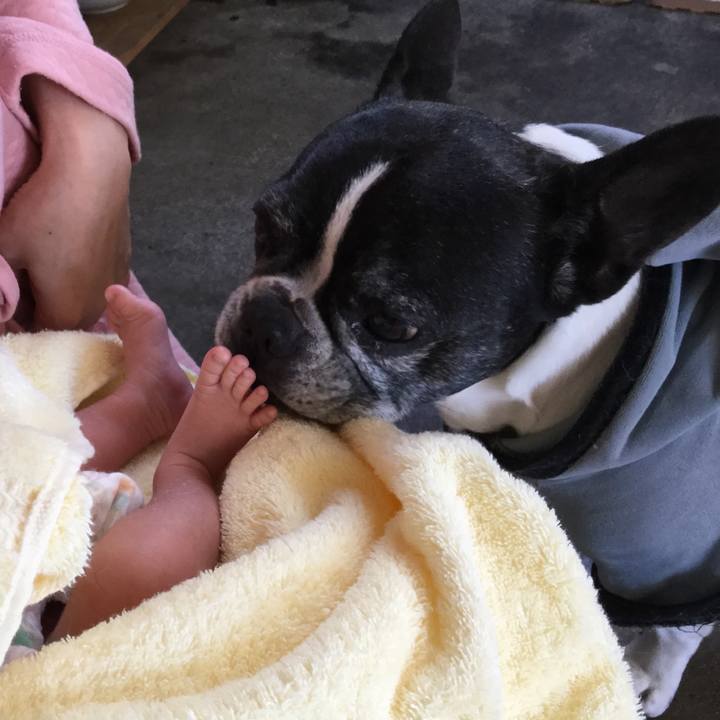 E69515c6 eb79 41ef a83e 10ebc6538ac0 1518849438232