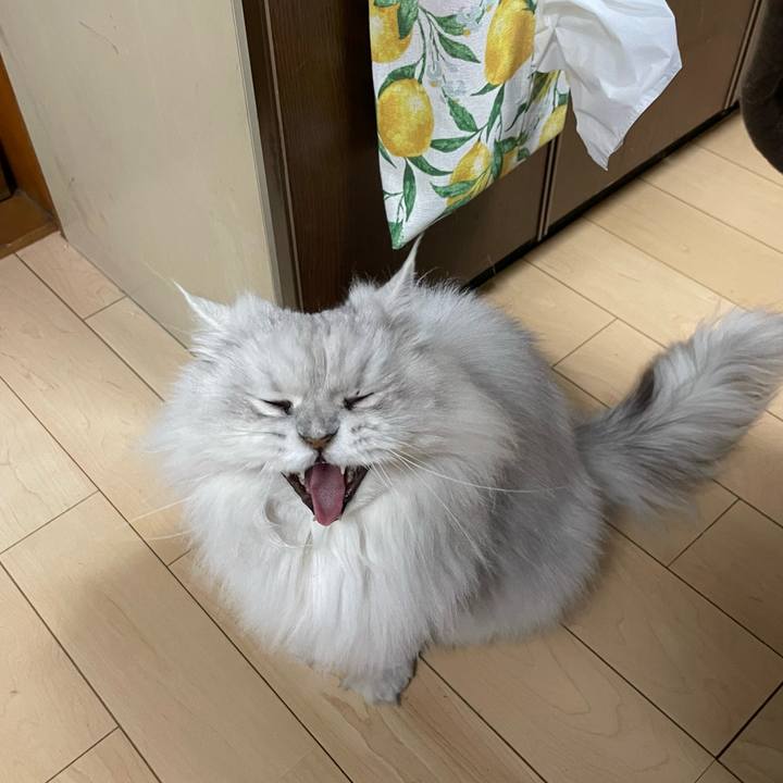 E69566e1 7e40 4635 b633 9a6293e6e63a 1652351779914