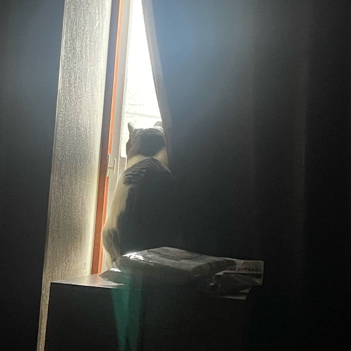 E6957192 3397 49ef ac1f 49bc5470b139 1686169941659