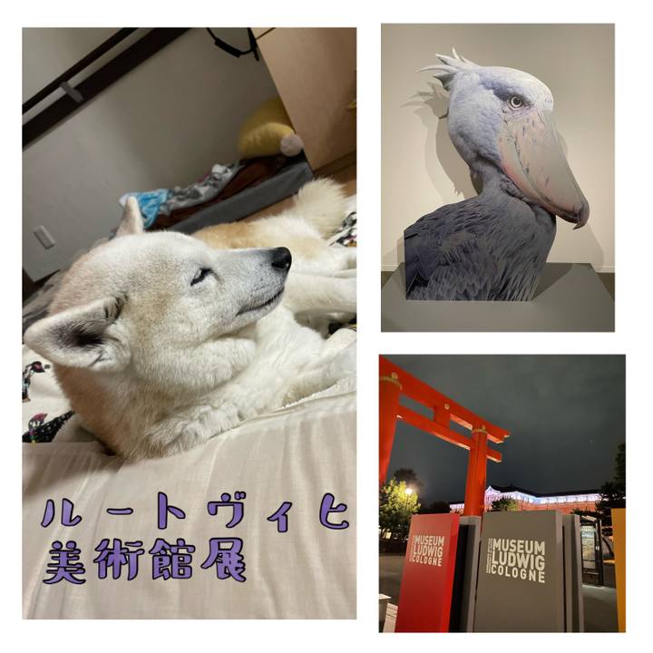 E6957c98 6b2e 4194 a000 6d2cf68e74e5 1674465500143