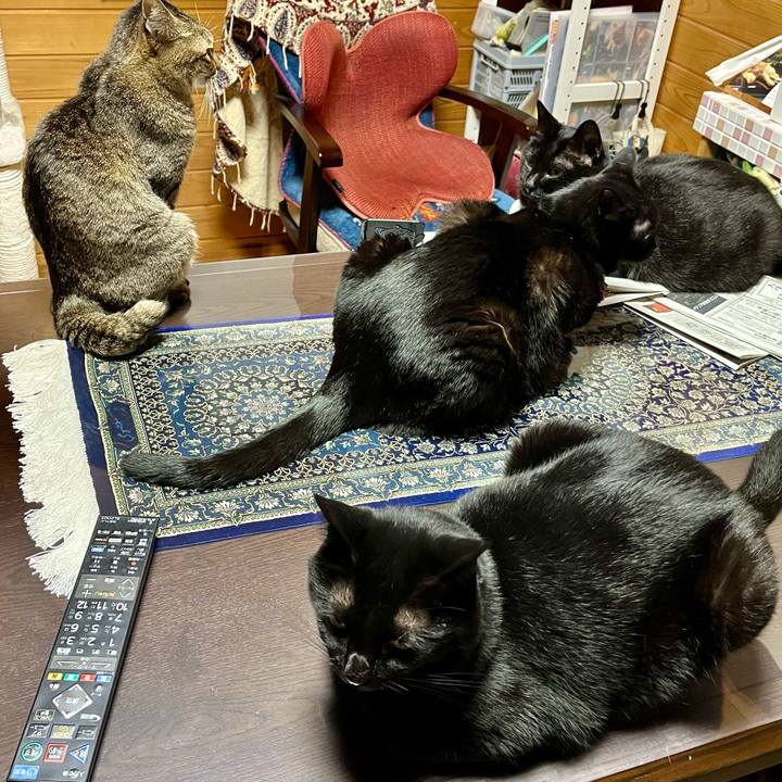 E695a333 49f1 4310 85df 41df0c4363cf 1714222496606