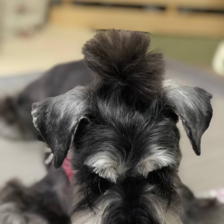 E695c6c5 16ba 4c2b a5e7 bcc60da1a28f 1593182301732