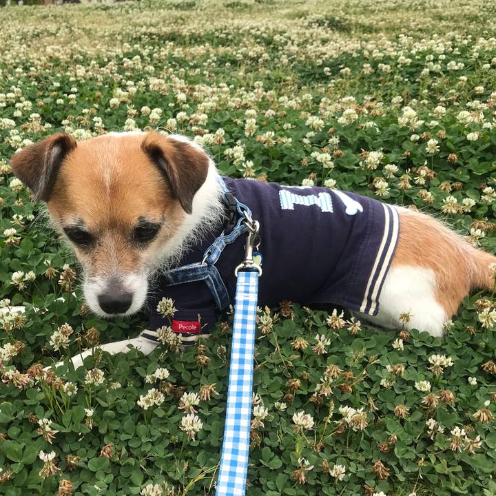 E695d224 4351 4133 8030 172e9fcd2e0f 1527657063315