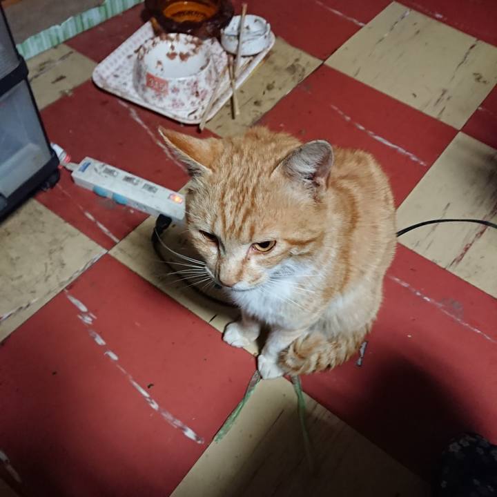 E695d415 cfbe 41a5 8312 5f1021d16d7b 1556740989848