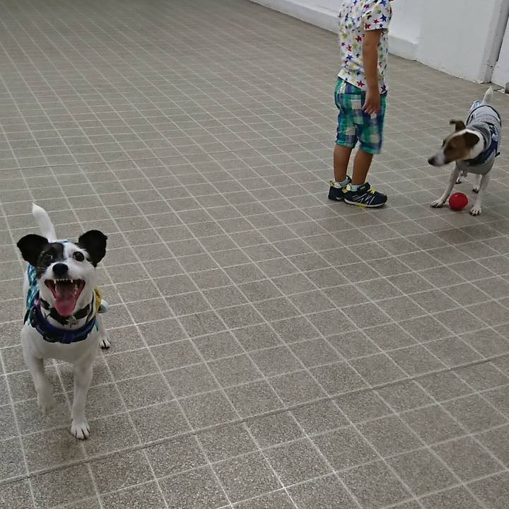 E695d7ed cdb4 47a4 902f abea3a892d49 1535885771914