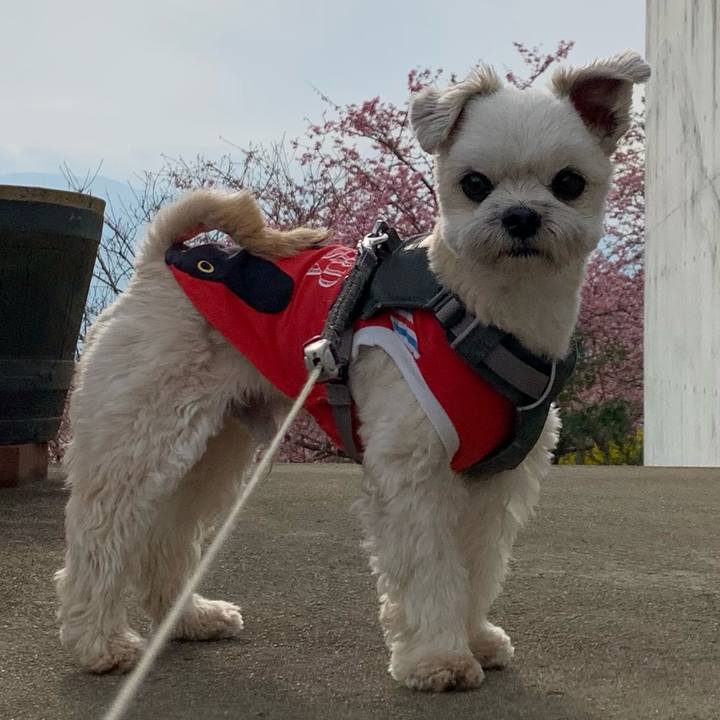 E6967901 48cc 4cf8 a593 ef71e40cff84 1613133526085