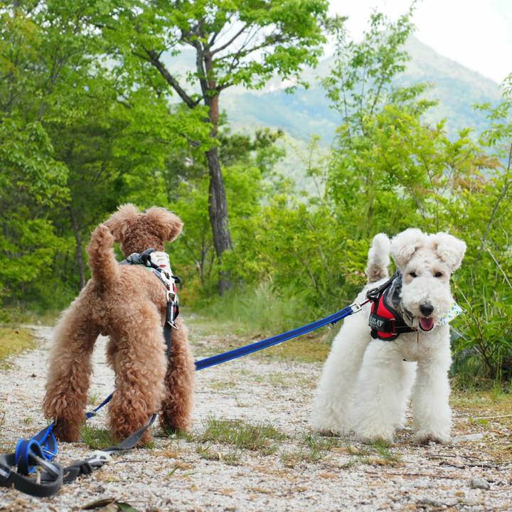 E6967c6b 46c3 4dfd afbd 136303bfb20a 1525872859828