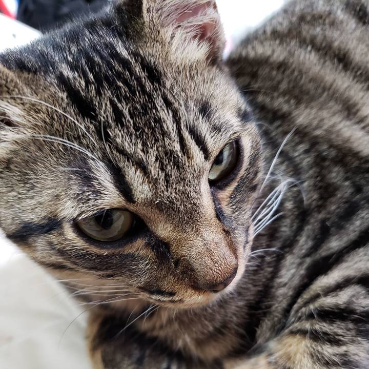 E6968146 f12e 4490 b537 87b4b4549071 1548799381549