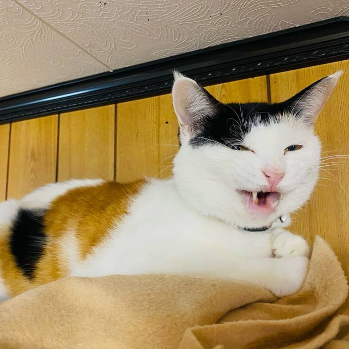 E696c5f6 d048 45bc ba71 4c10a87d99ba 1665145297105